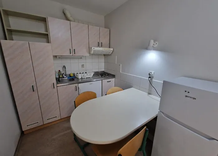 Rozna Dolina, Dom Xiv * Ljubljana